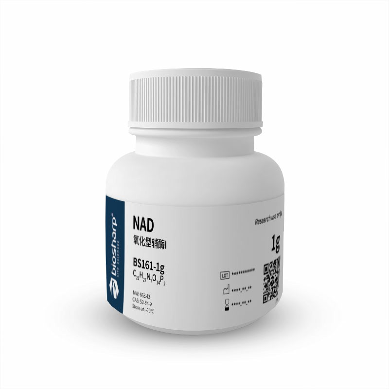 氧化型辅酶I NAD